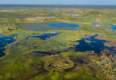 Okavango Delta - From the air