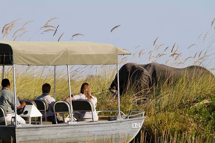 Camp Xakanaxa - Boat excursion