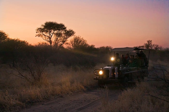 Deception Valley Lodge - Game drive at dusk