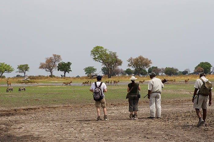 Footsteps Camp - Walking safari