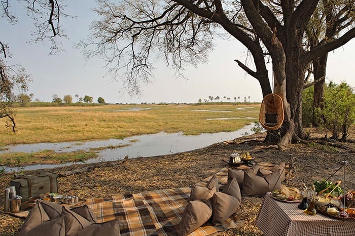 Sandibe Okavango Safari Lodge - Guest stop