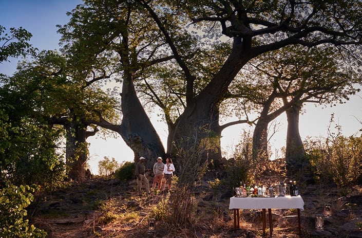Savute Elephant Camp - Drinks under baobab