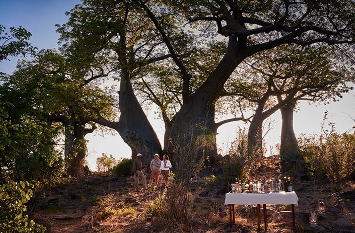 Savute Elephant Camp - Drinks under baobab