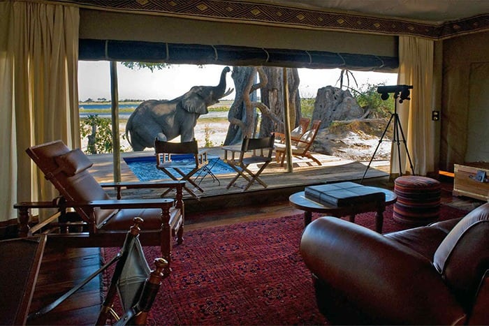 Zarafa Camp - Elephant seen from guest bedroom