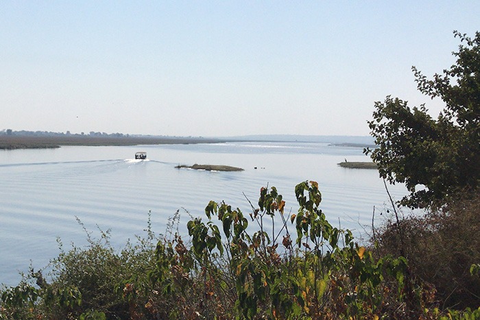 Chobe River