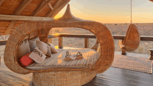 Feline Fields beautiful sunset, relaxation at its best