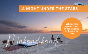 Think Makgadikgadi Salt Pans. Think Africa Travel