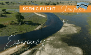 Scenic helicopter flights. Think Africa Travel