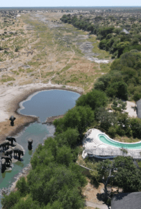 Elephants enjoying the water outside Moela Safari Lodge - a great honeymoon destination. Book with Think Africa Travel