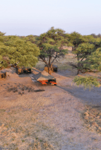 An experience you won't forget - mobile safari with Endeavour and see Botswana as you never have before. Book with Think Africa Travel