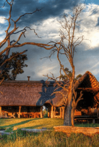 The beauty of Zimbabwe. Stay 7 nights between Nehima Lodge and Bomani Tented Lodge. Book with Think Africa Travel