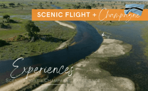 Experience a scenis flight with champagne and Helicoper Horizons.