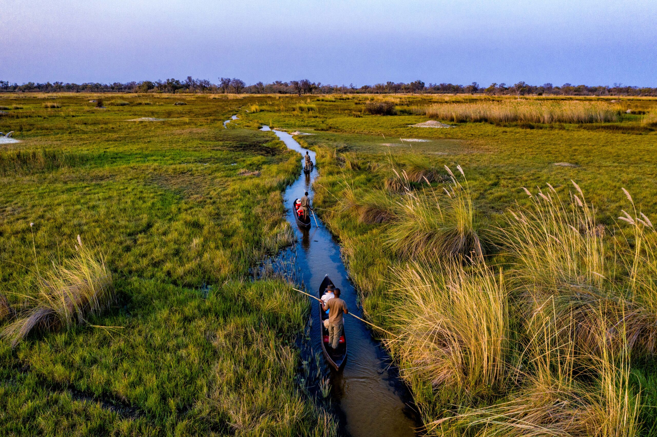 A mokror safari through the reeds of a narrow riverlet in the Okavango Delta