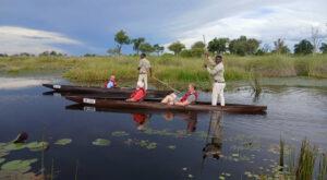 Okuti Introduces Mokoro Trips in Moremi Game Reserve
