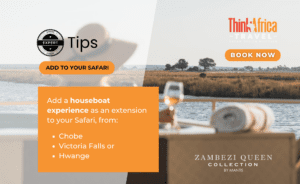 Image featuring travel tips for a safari experience with a houseboat option.