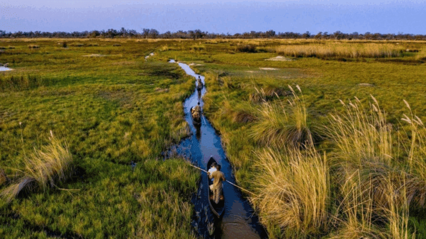 Magical Mokoro ride through the Okavango Delta
