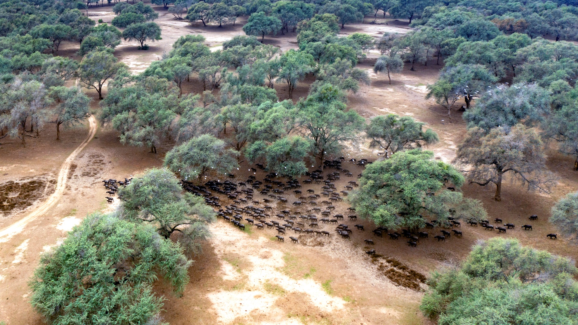 30-Amanzi-Camp-Safari
