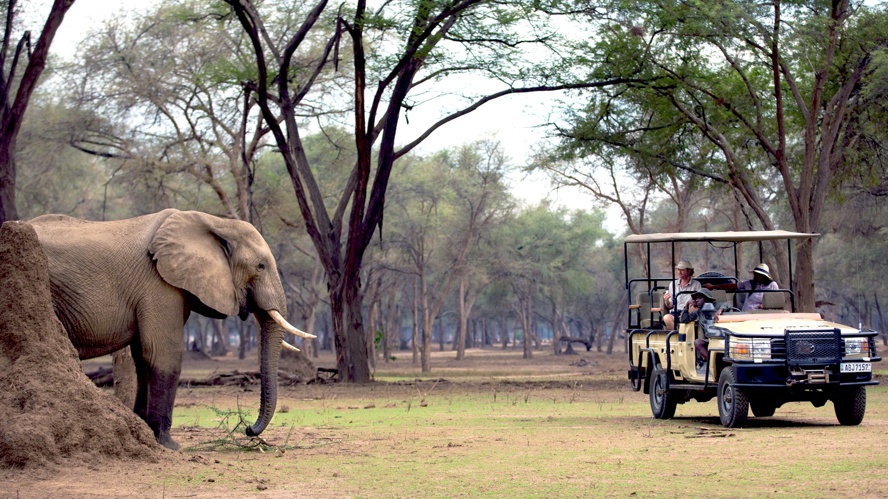 34-Amanzi-Camp-Safari