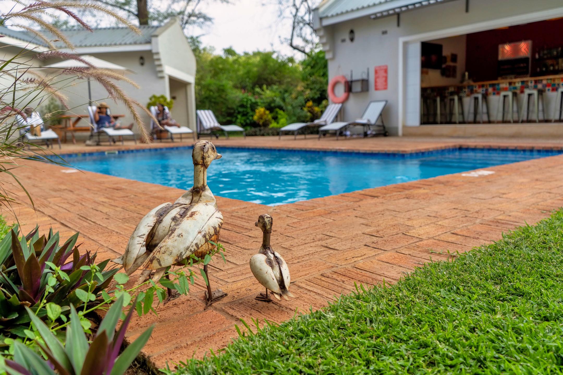 Bayete_Lodge-Surrounds_2