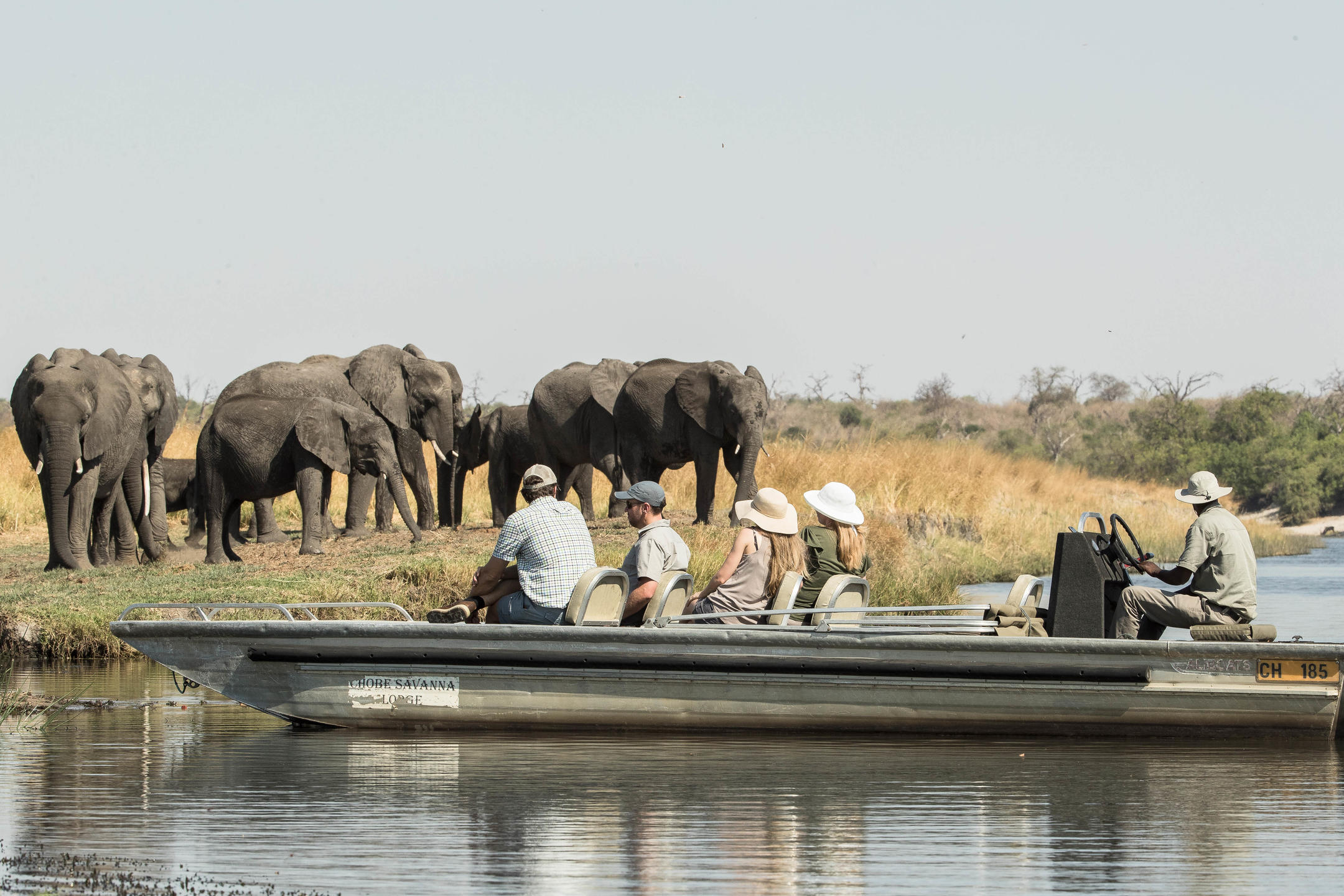 Boating-Safari-With-Chobe-Savanna-Lodge