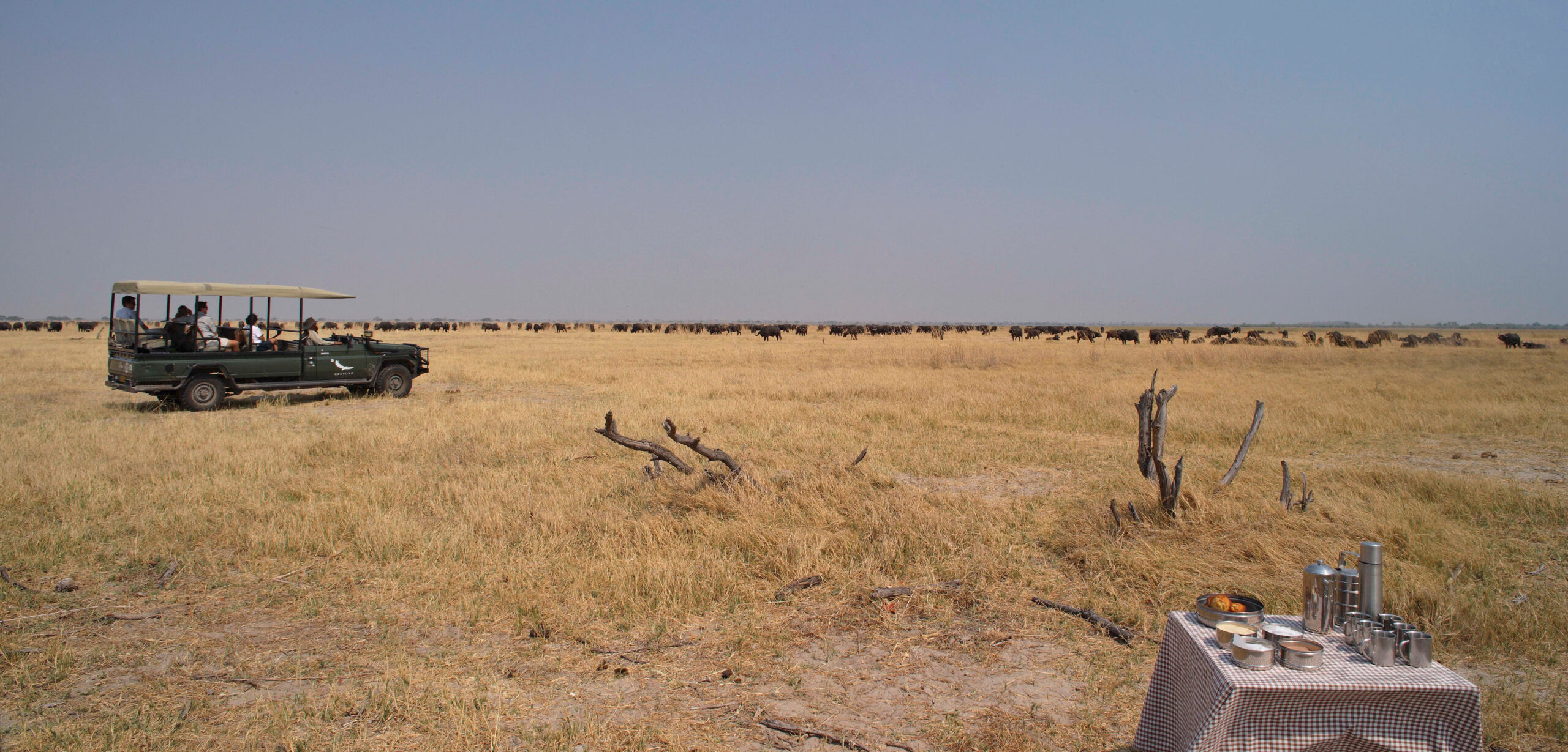 Botswana-Savute-Under-Canvas-Experience-Game-drive-bush-drinks-with-vehicle-High-Resolution-Width=5000px