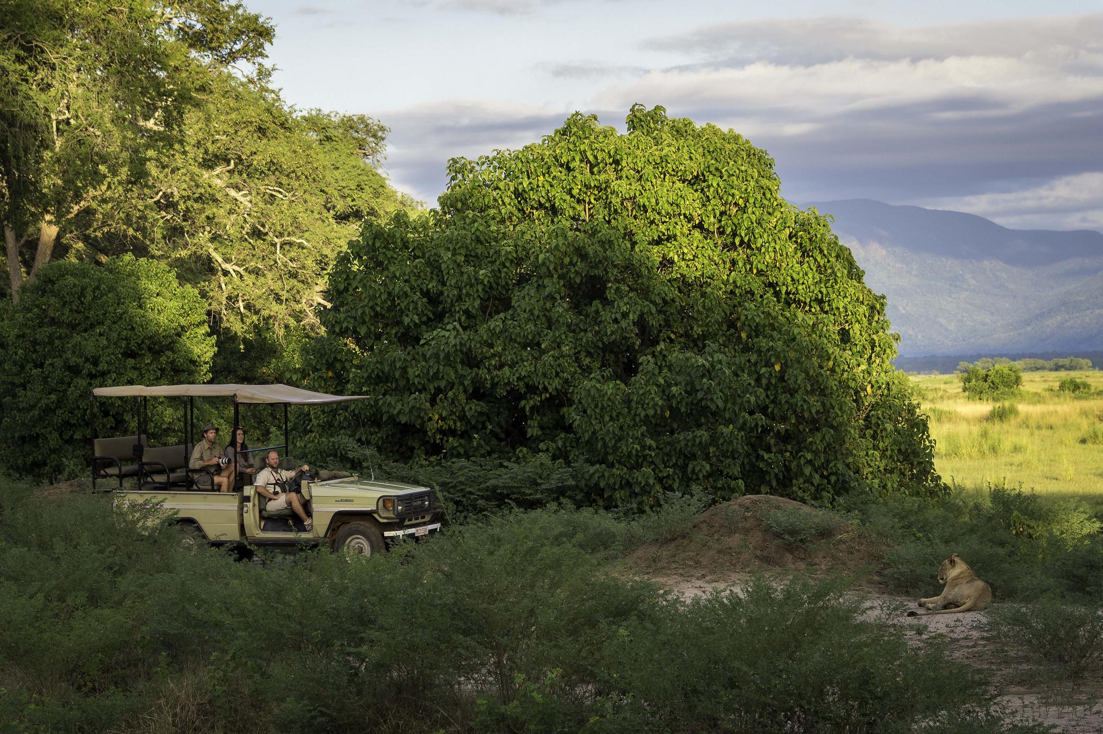 Game-drives-in-Mana-Pools-1