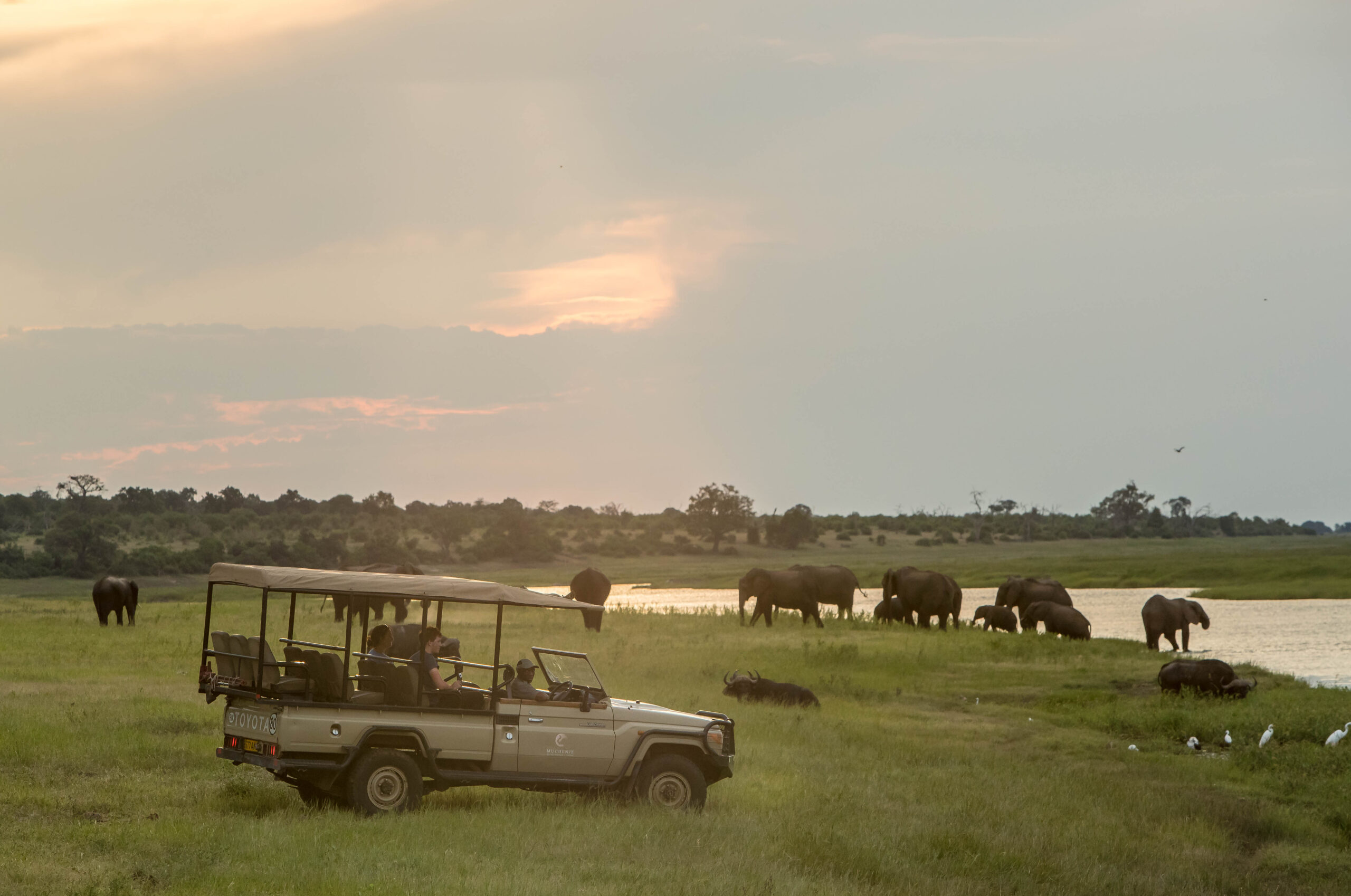 Muchenje-Feb'19-Game Drive-34