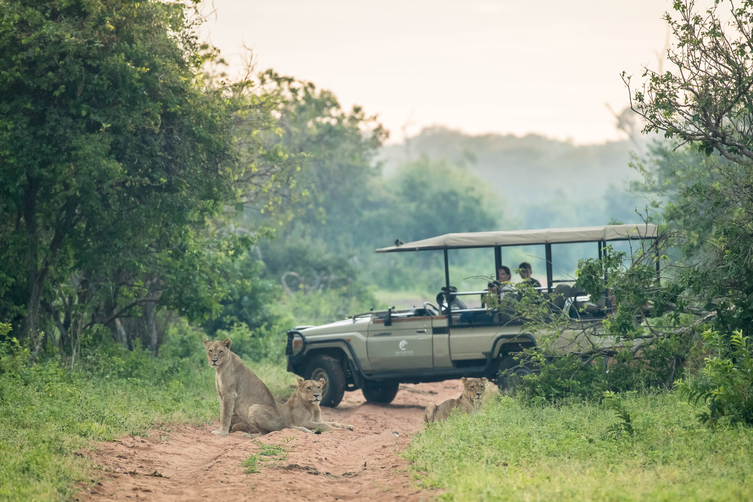Muchenje-Feb'19-Game Drive-39