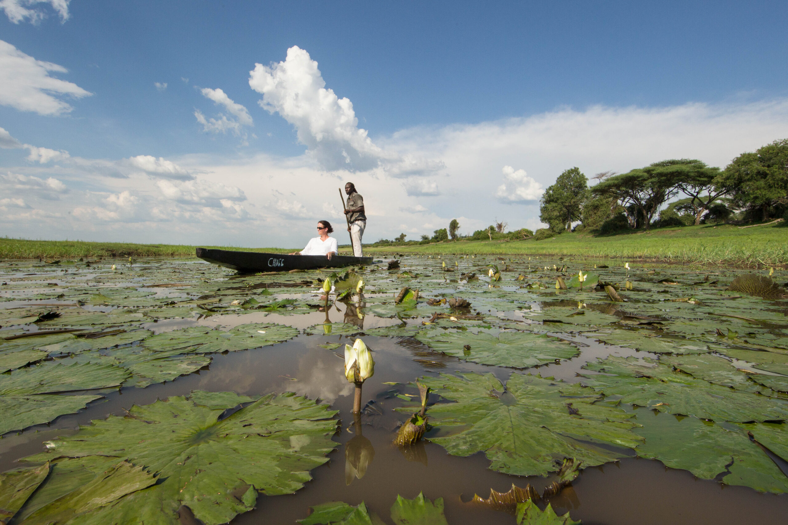 Muchenje-Feb'19-Mokoro-21