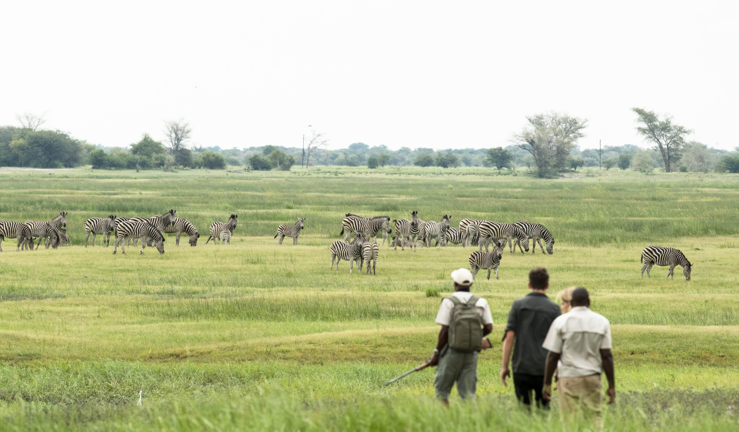 Muchenje-Feb'19-Walk-17