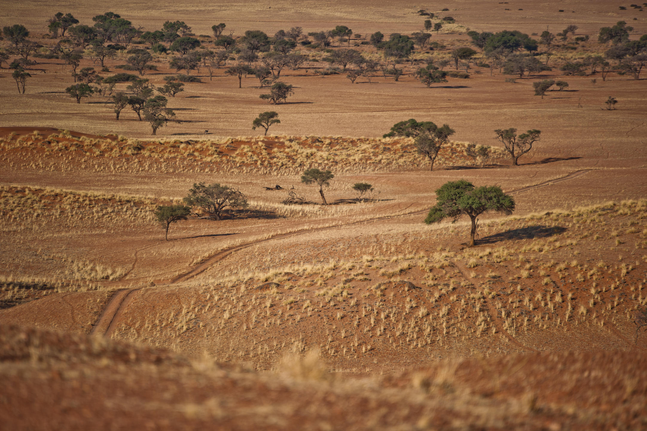 Namib-Desert-Lodge-d