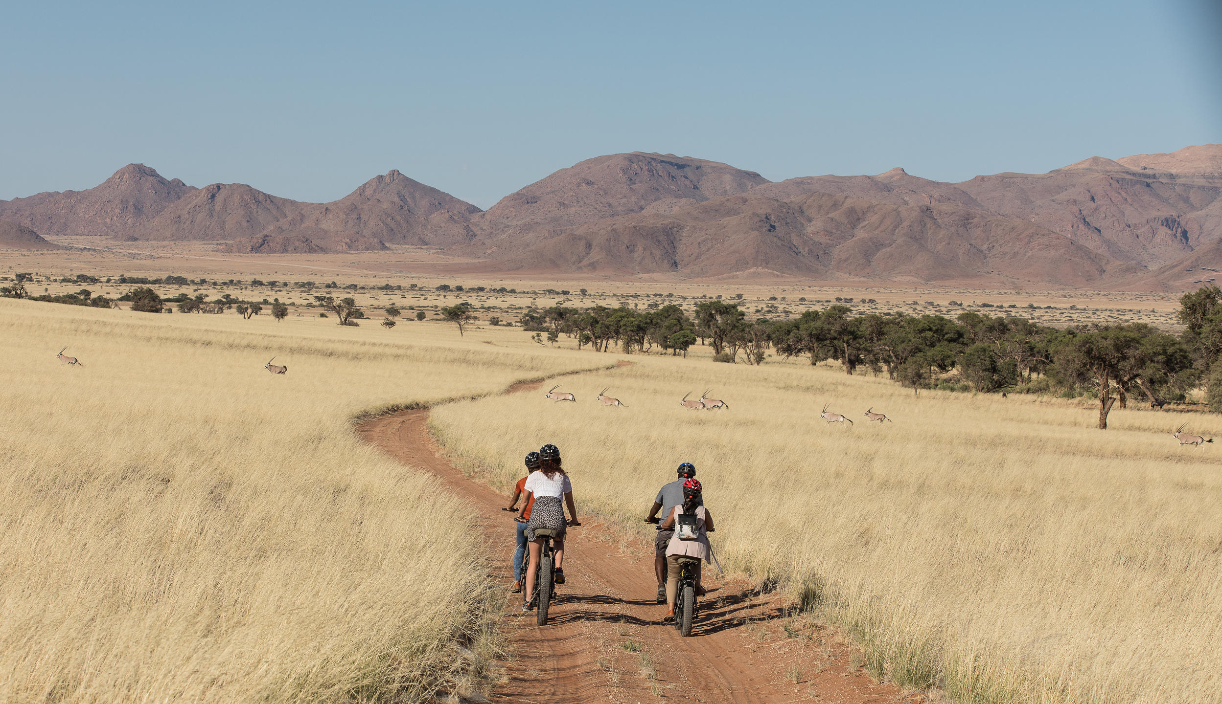 Namib-Desert-Lodge_7