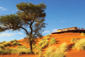 Namib Desert in Namibia