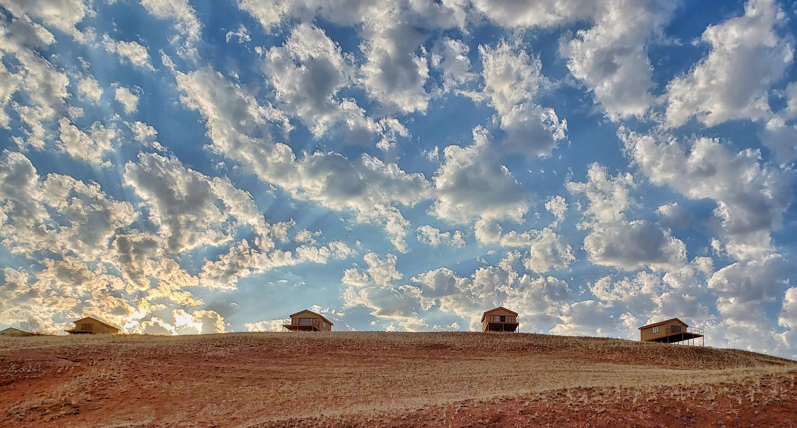 Namib_Dune_Star_Camp