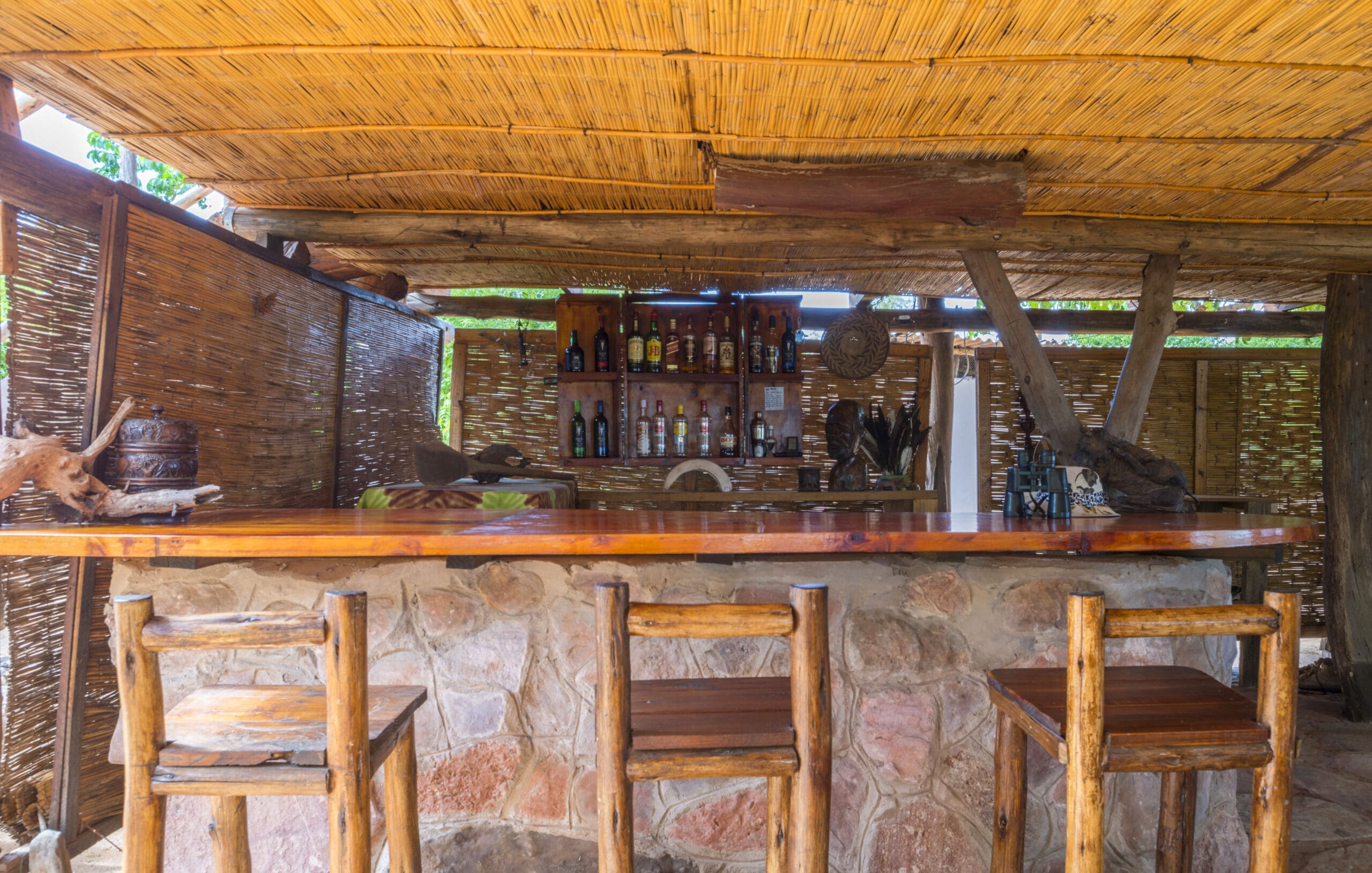 RhinoSafariCamp-2019D004-scaled