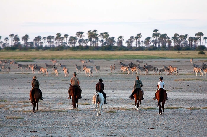 San_Camp-Horse_safaris