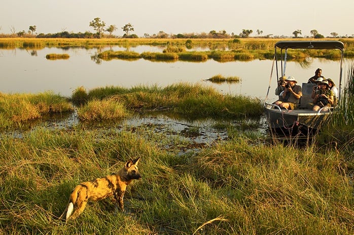 Selinda_Camp-Boat_and_wild_dog
