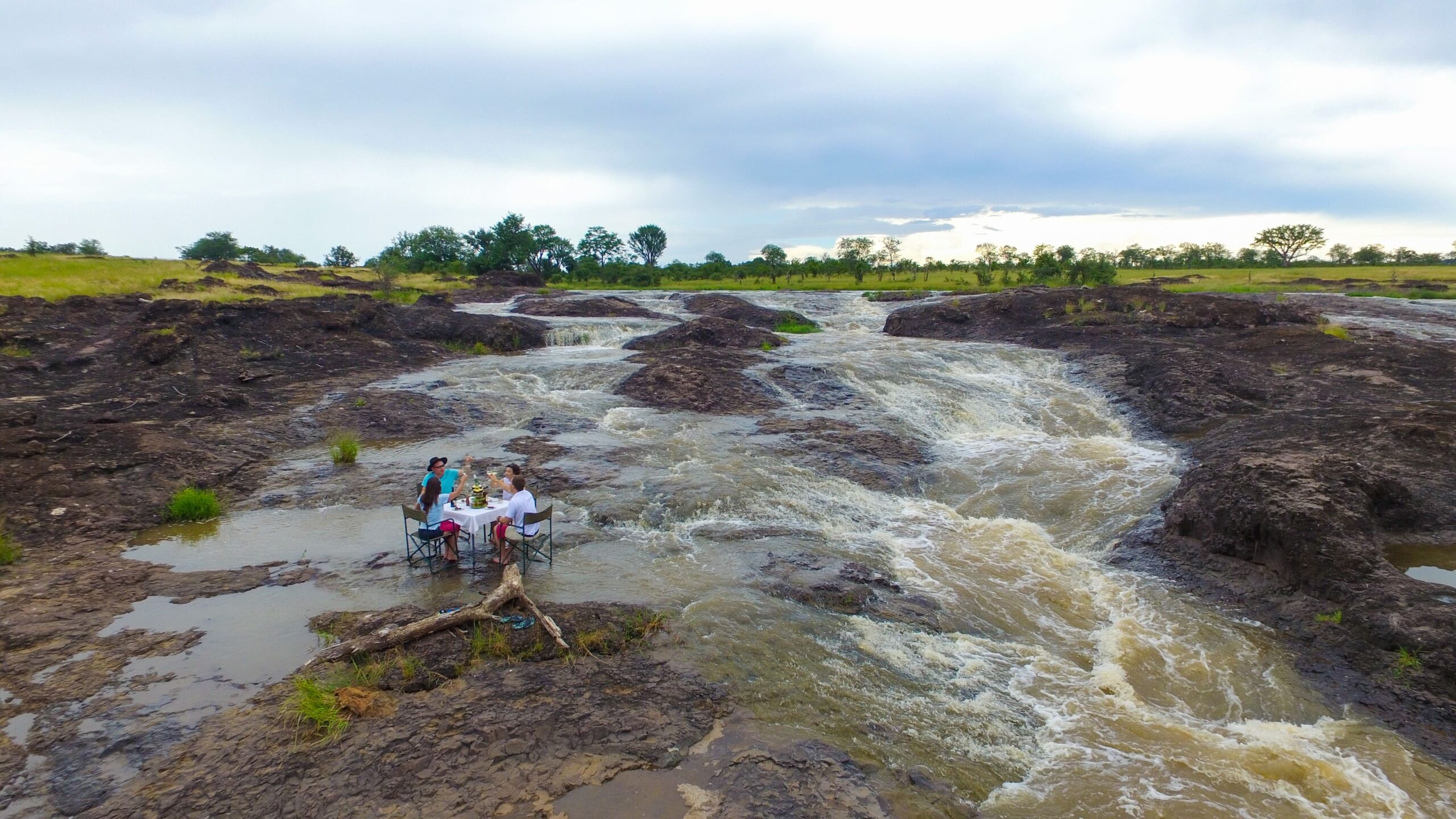 The Elephant Camp_main