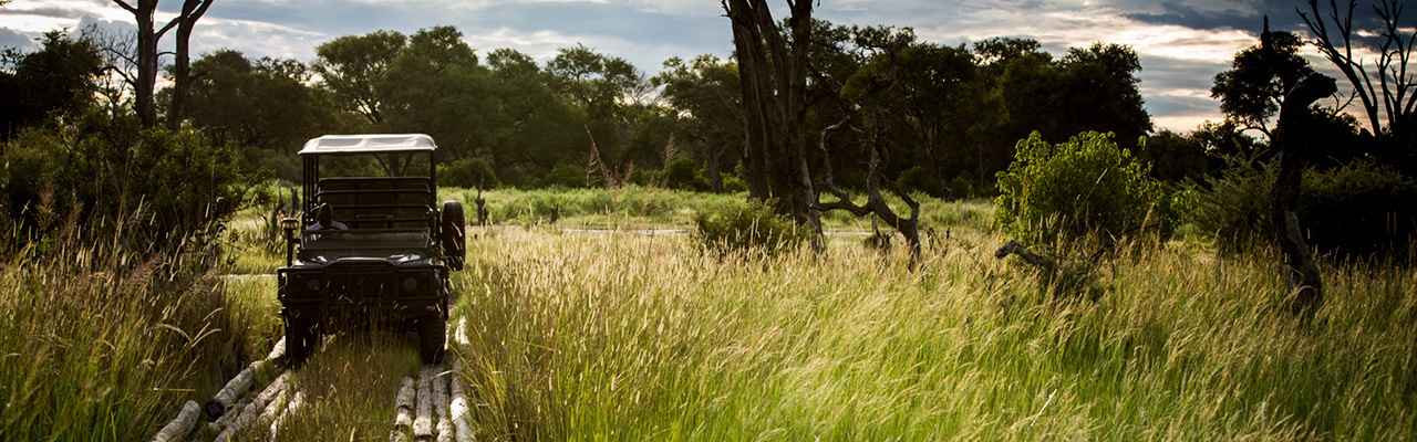 Vumbura_Plains-Game_drive