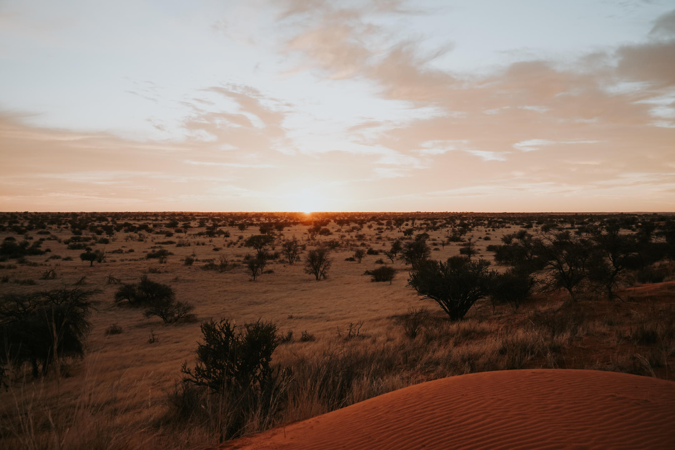 gondwana_collection-31