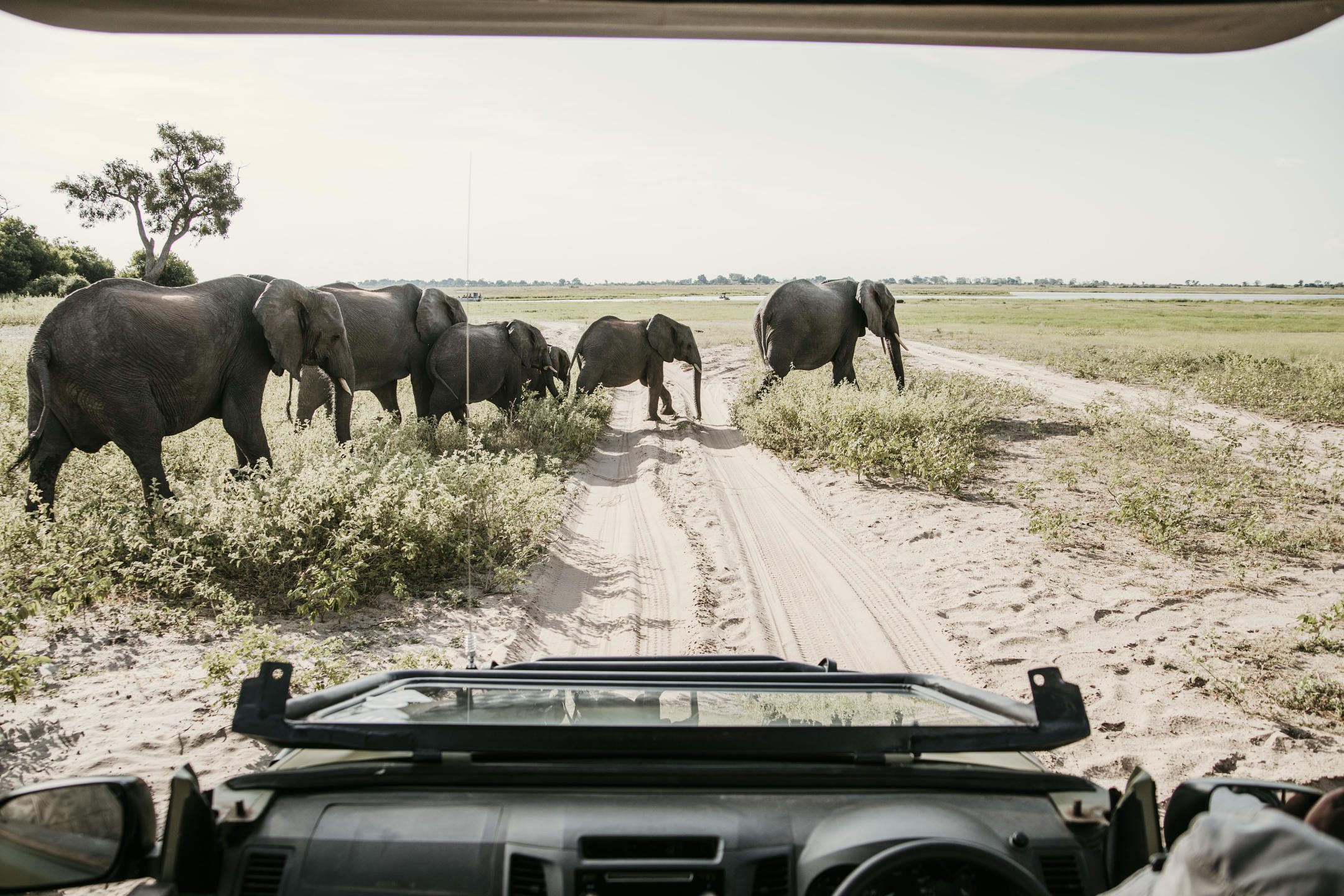 1739434354740_B92A3973