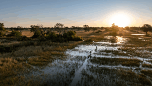 maxa-okavango-delta-view from above a mokoro