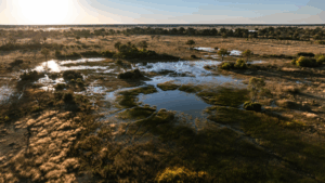 maxa-okavango-delta-view from the air