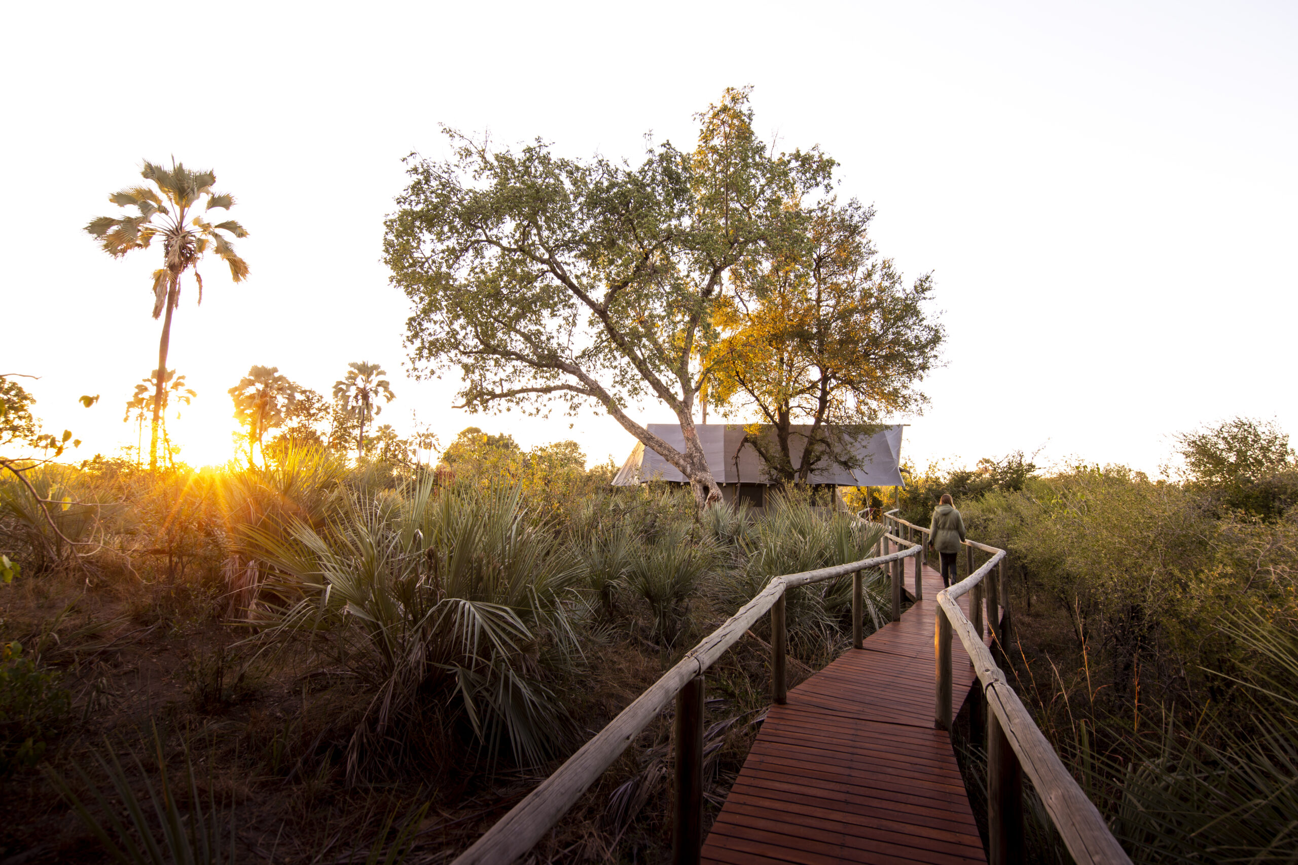 082_Chitabe_Lediba_Tent_TCunniffe