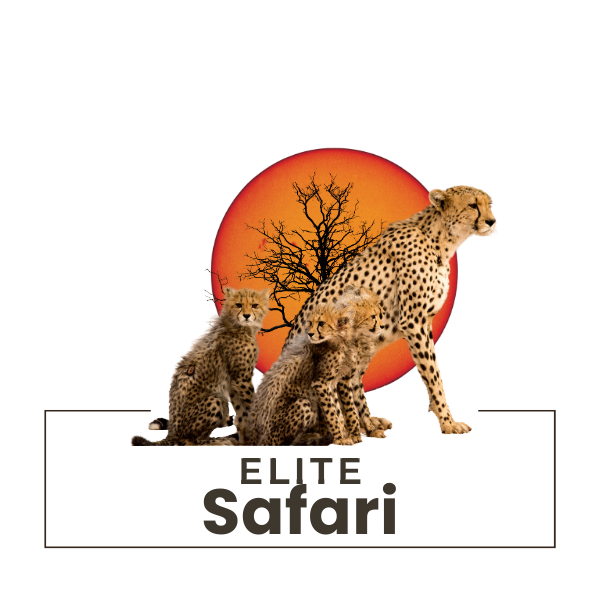 Hi-End High end and luxurious accommodation safari offers
