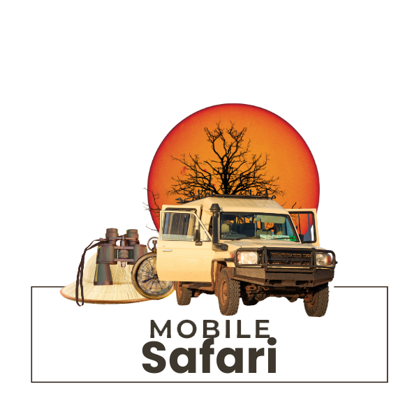 Mobile-Safari