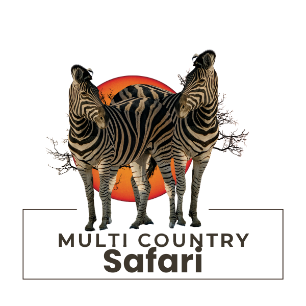 Multi-Country-Safari