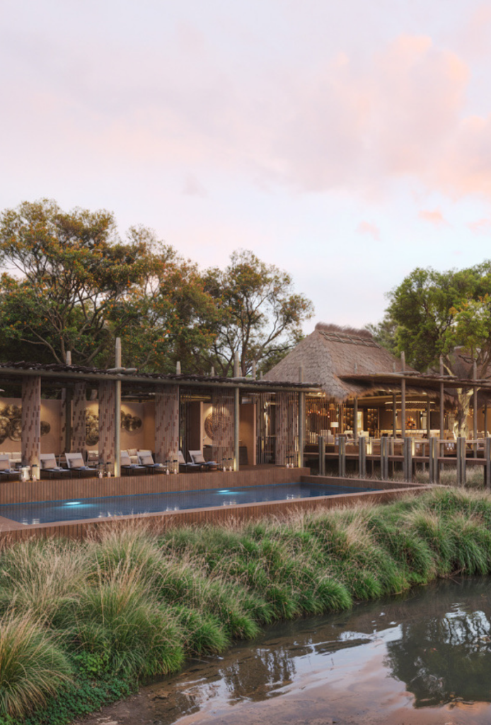 Think Africa Travel brings you a family safari experienve like no other-10 nights across several safari destinations-including Sediba Sa Rona