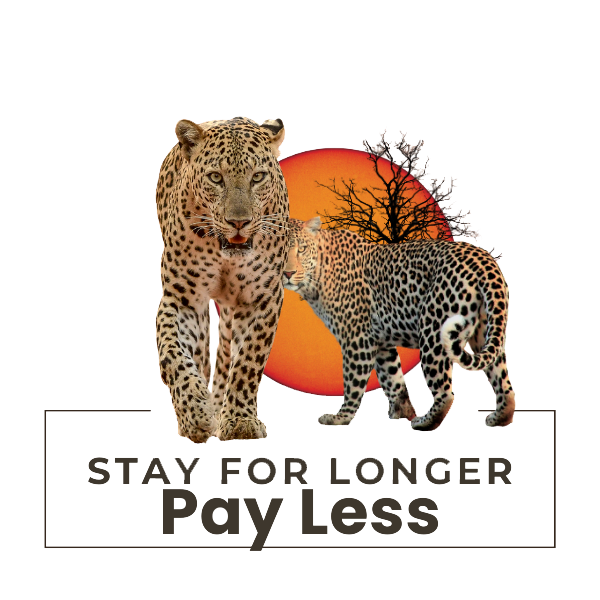 Stay for Longer Pay for less Safaris