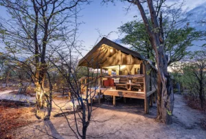 Elephant Pan Camp in Chobe Botswana overlooking a waterhole with elephants and wildlife in a remote safari setting